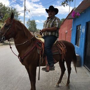 Meet your Posher, Fernando